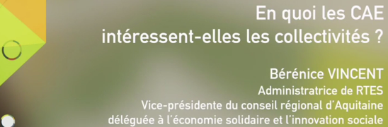 cae-collectivites-2015