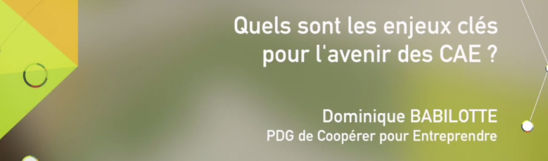 enjeux-cae-dominique-babillote