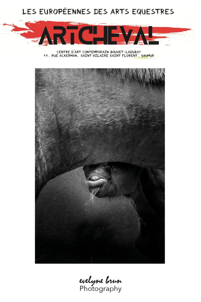 les-europeennes-arts-equestres