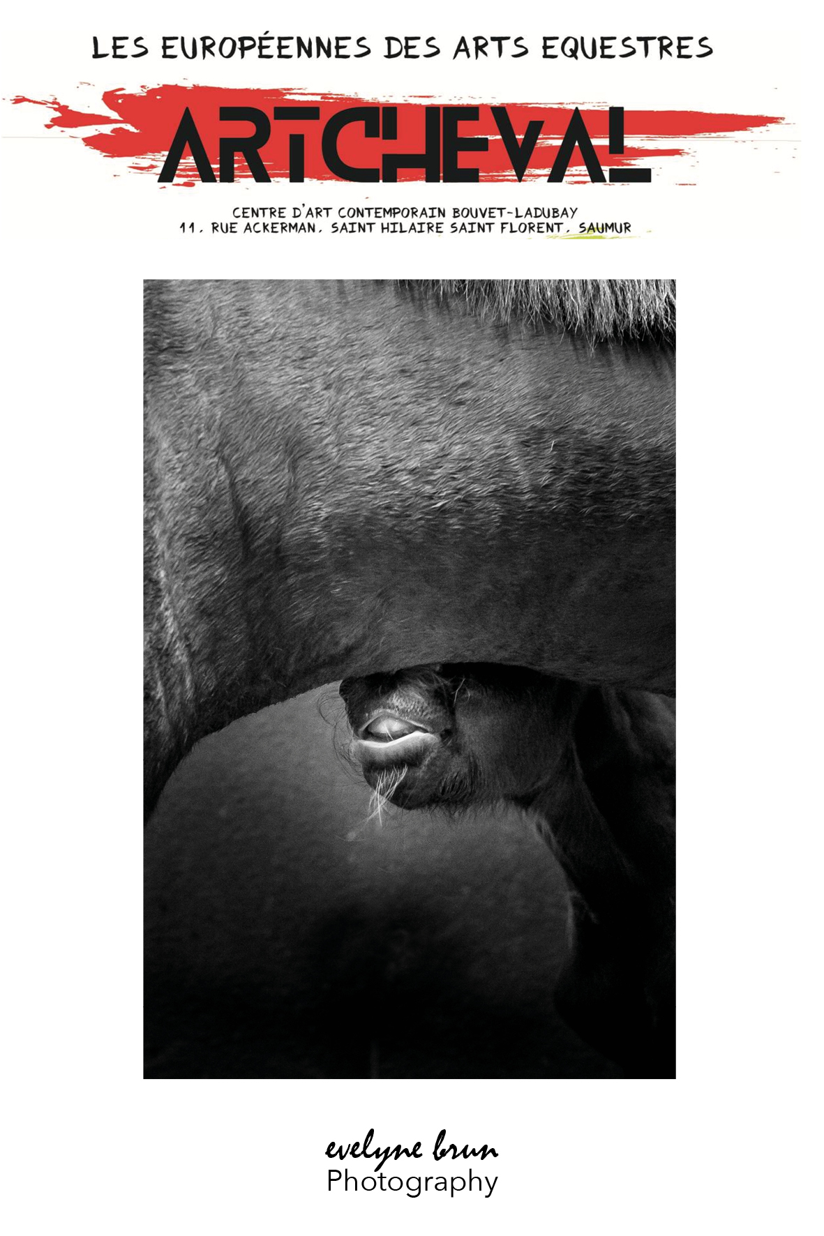 les-europeennes-arts-equestres